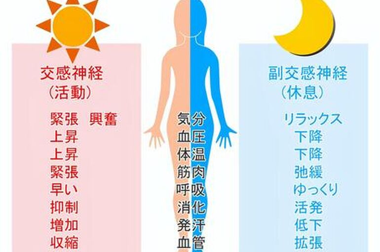 474f38ebb6042ccb8c541f9f74fdad98_t